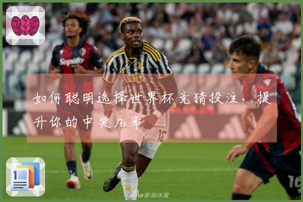如何聪明选择世界杯竞猜投注，提升你的中奖几率