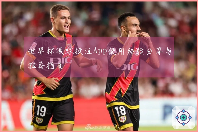 世界杯滚球投注App使用经验分享与推荐指南