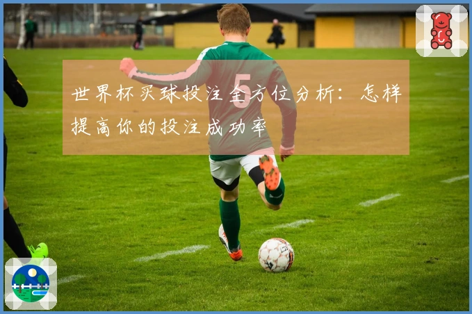 世界杯买球投注全方位分析：怎样提高你的投注成功率