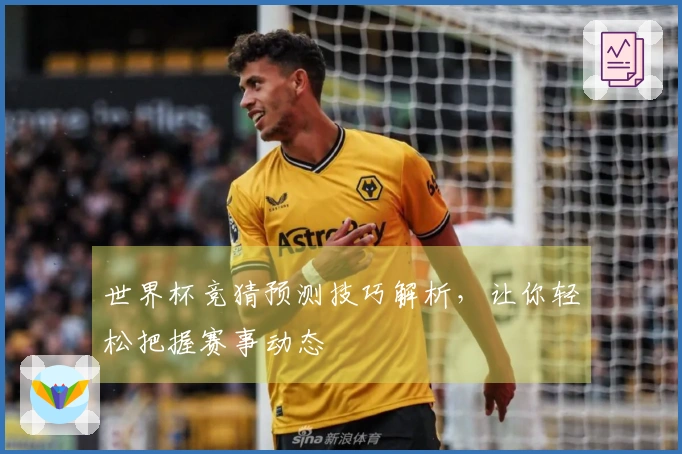 世界杯竞猜预测技巧解析，让你轻松把握赛事动态