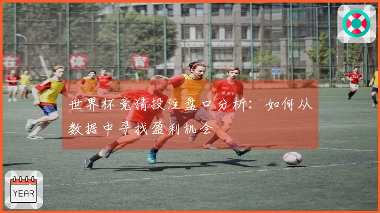 世界杯竞猜投注盘口分析：如何从数据中寻找盈利机会
