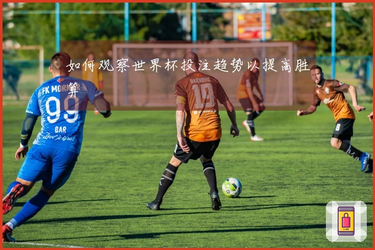 如何观察世界杯投注趋势以提高胜算