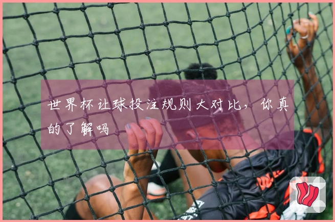 世界杯让球投注规则大对比，你真的了解吗