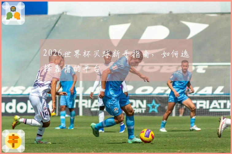 2026世界杯买球新手指南，如何选择靠谱的平台