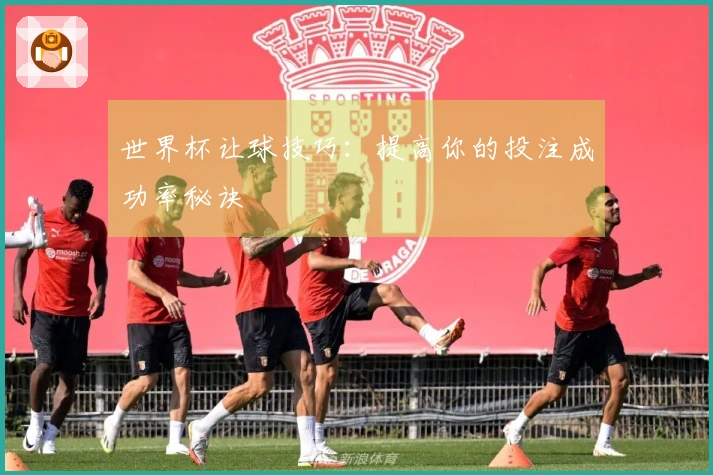 世界杯让球技巧：提高你的投注成功率秘诀