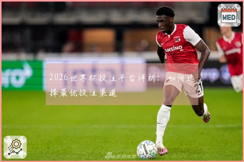 2026世界杯投注平台详析：如何选择最优投注渠道