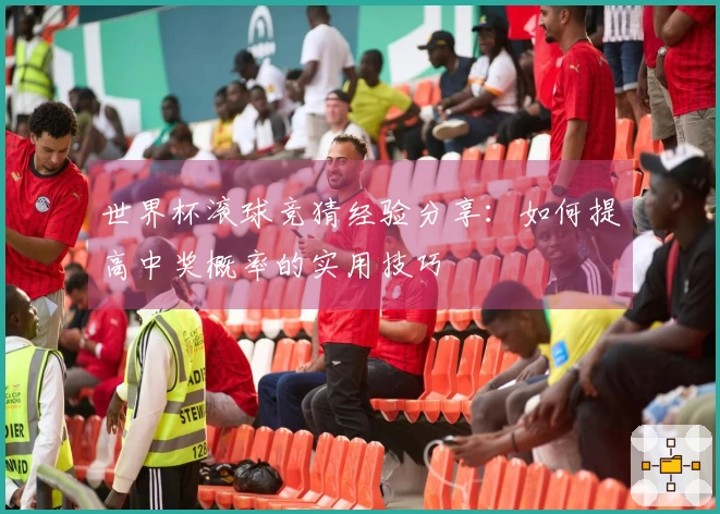 世界杯滚球竞猜经验分享：如何提高中奖概率的实用技巧