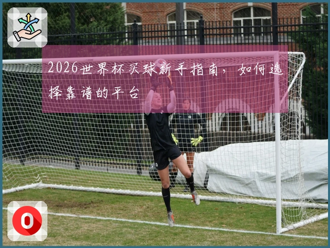 2026世界杯买球新手指南，如何选择靠谱的平台