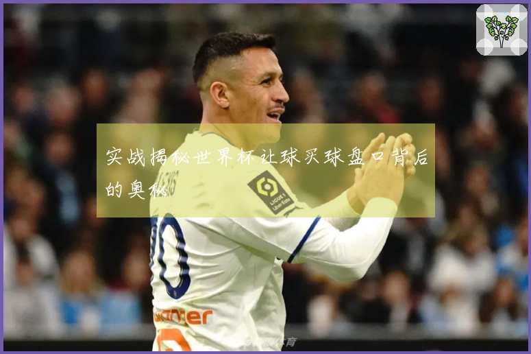 实战揭秘世界杯让球买球盘口背后的奥秘