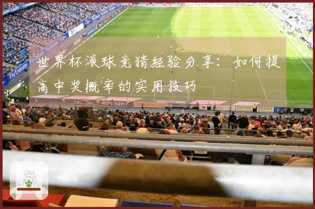 世界杯滚球竞猜经验分享：如何提高中奖概率的实用技巧