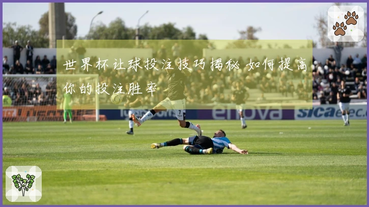 世界杯让球投注技巧揭秘 如何提高你的投注胜率